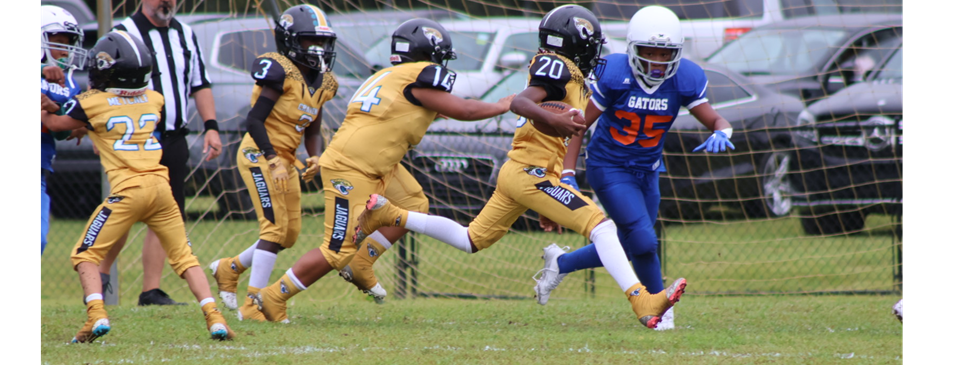Love The Game